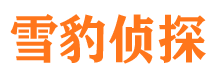 东胜市调查公司